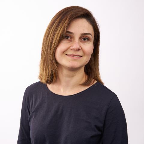 Karine Hakobyan Gevorgyan Karine Hakobyan Gevorgyan